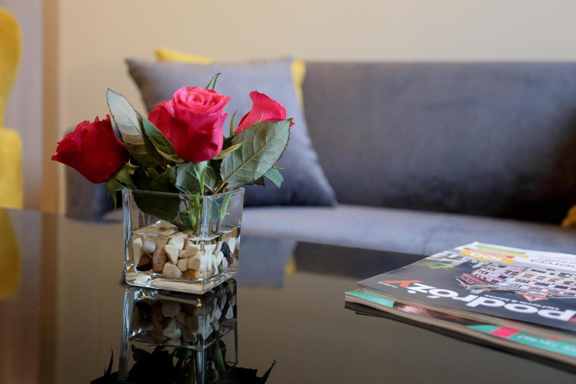 Apartamenty Zamenhofa Białystok Dış mekan fotoğraf